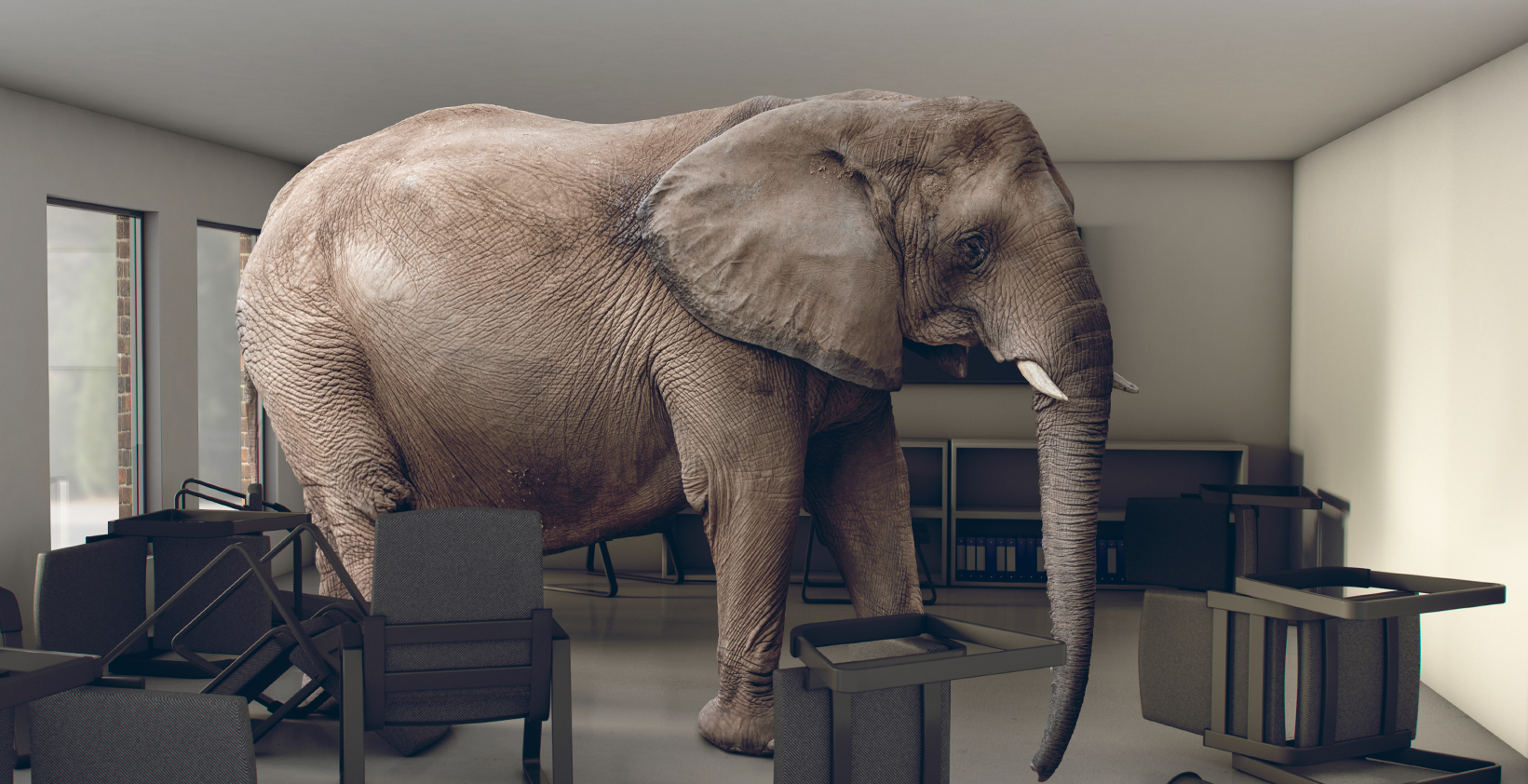 elephant in an office space